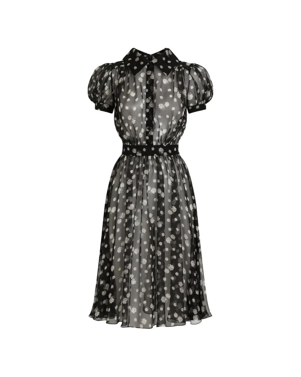 Dolce & Gabbana Black Small Rose And Polka Dot-Print Chiffon Dress