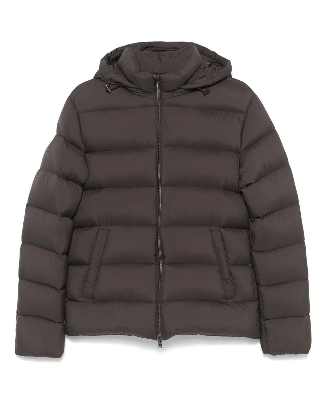 Herno Gray Hooded Padded Down Jacket for men