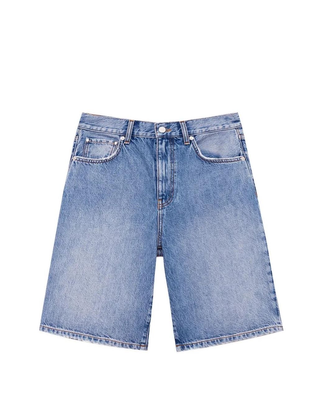 Anine Bing Blue Jasper Shorts