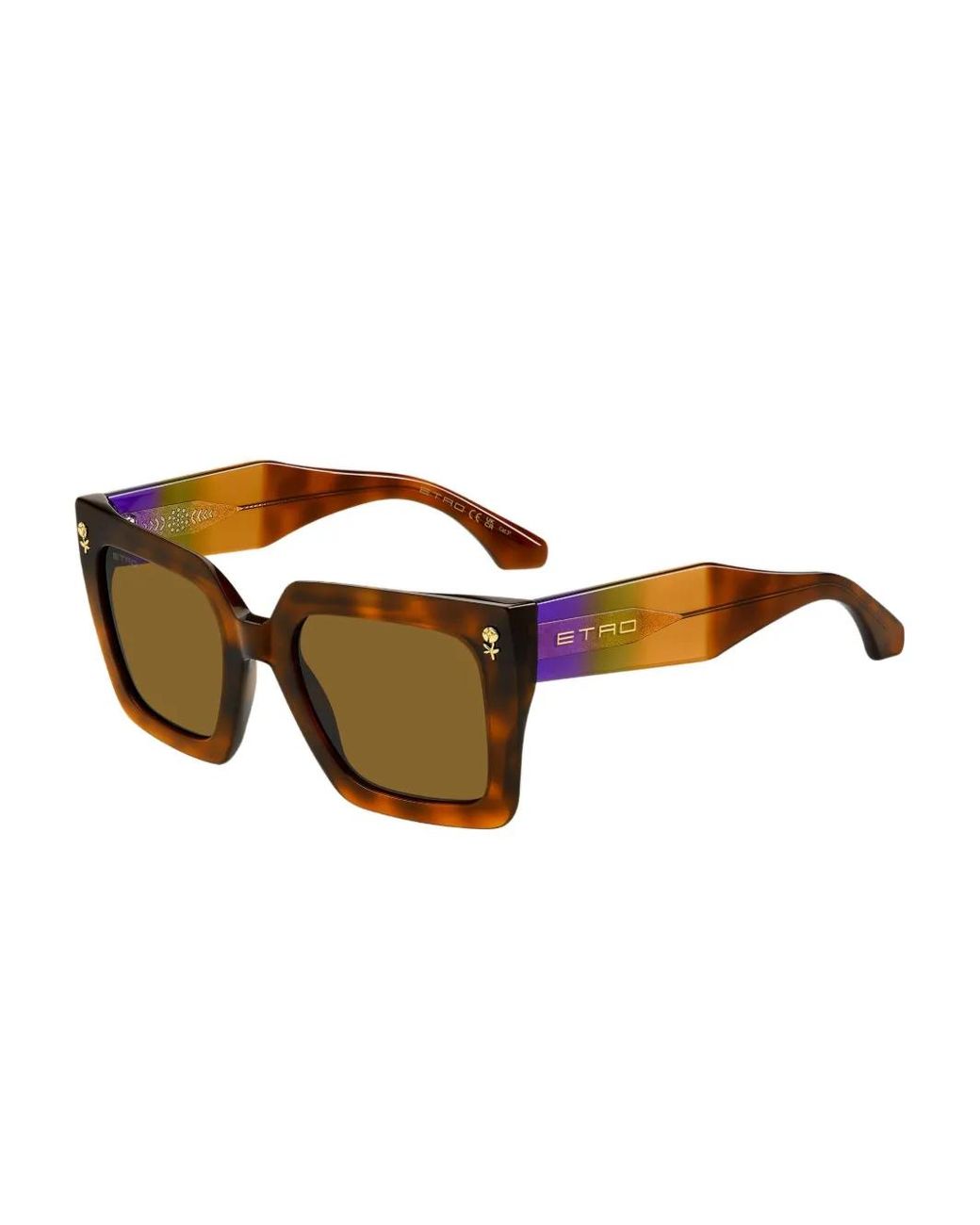 Etro Brown Colourstripes Sunglasses
