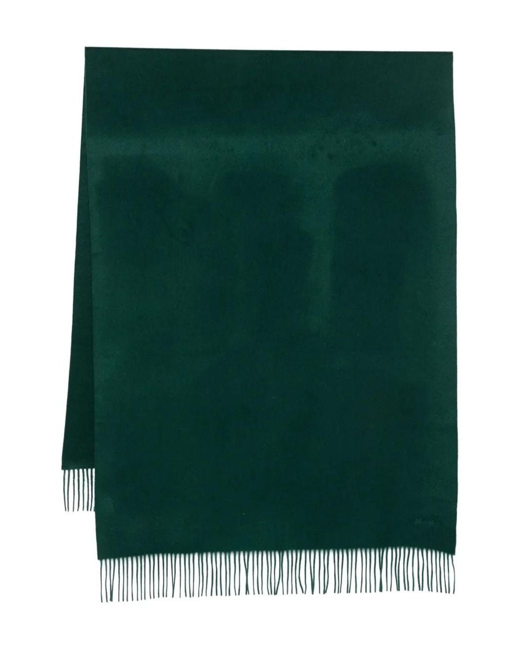 Max Mara Green Fringed Cashmere Scarf