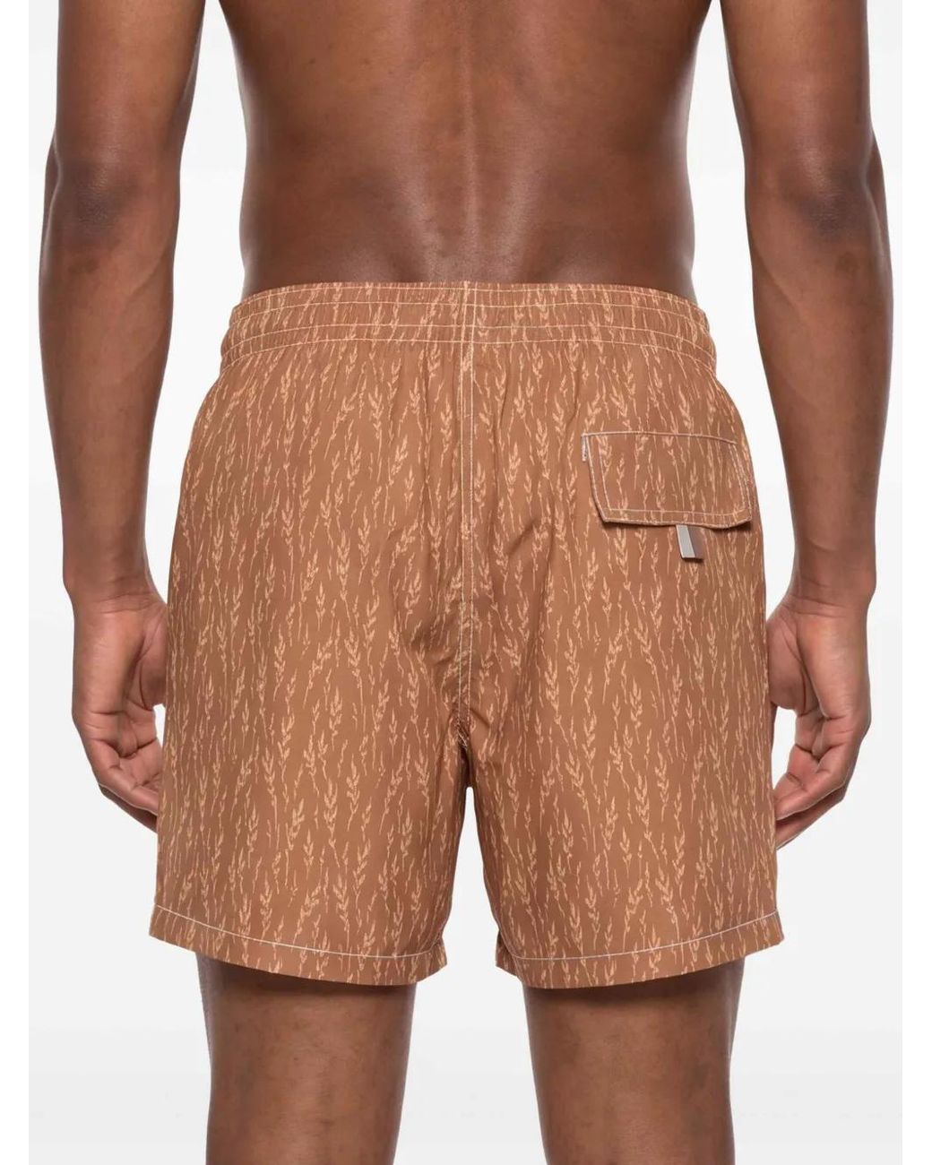 Canali Brown Leaf-Print Swim Shorts for men