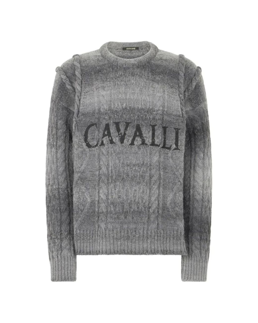 Pull À Logo Brodé Roberto Cavalli pour homme en coloris Gray