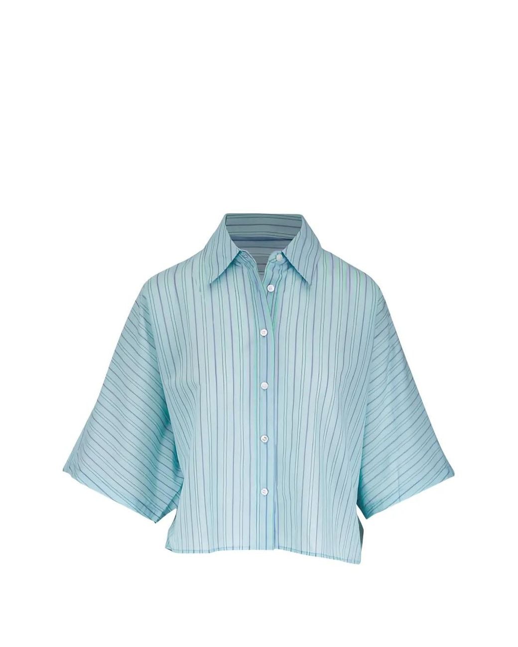 Agolde Blue Merrin Striped Cropped Shirt