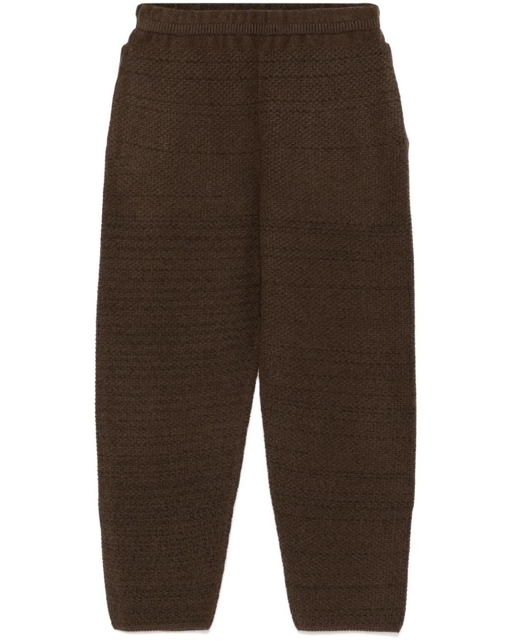 Homme Plissé Issey Miyake Brown Rustic Trousers for men