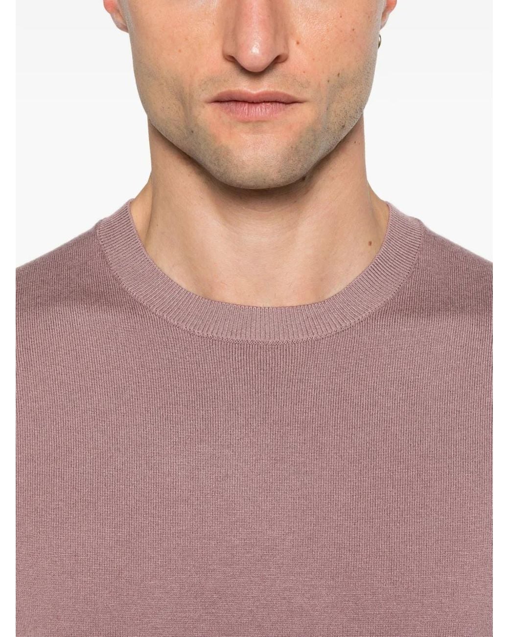 Diktat Trui Met Ronde Hals in het Pink voor heren