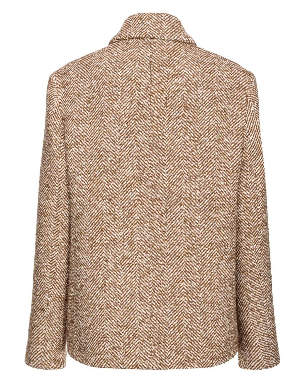 Pinko Brown Double-Breasted Blazer