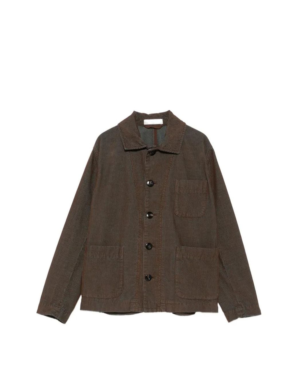 Circolo 1901 Brown Corduroy Button-Up Jacket