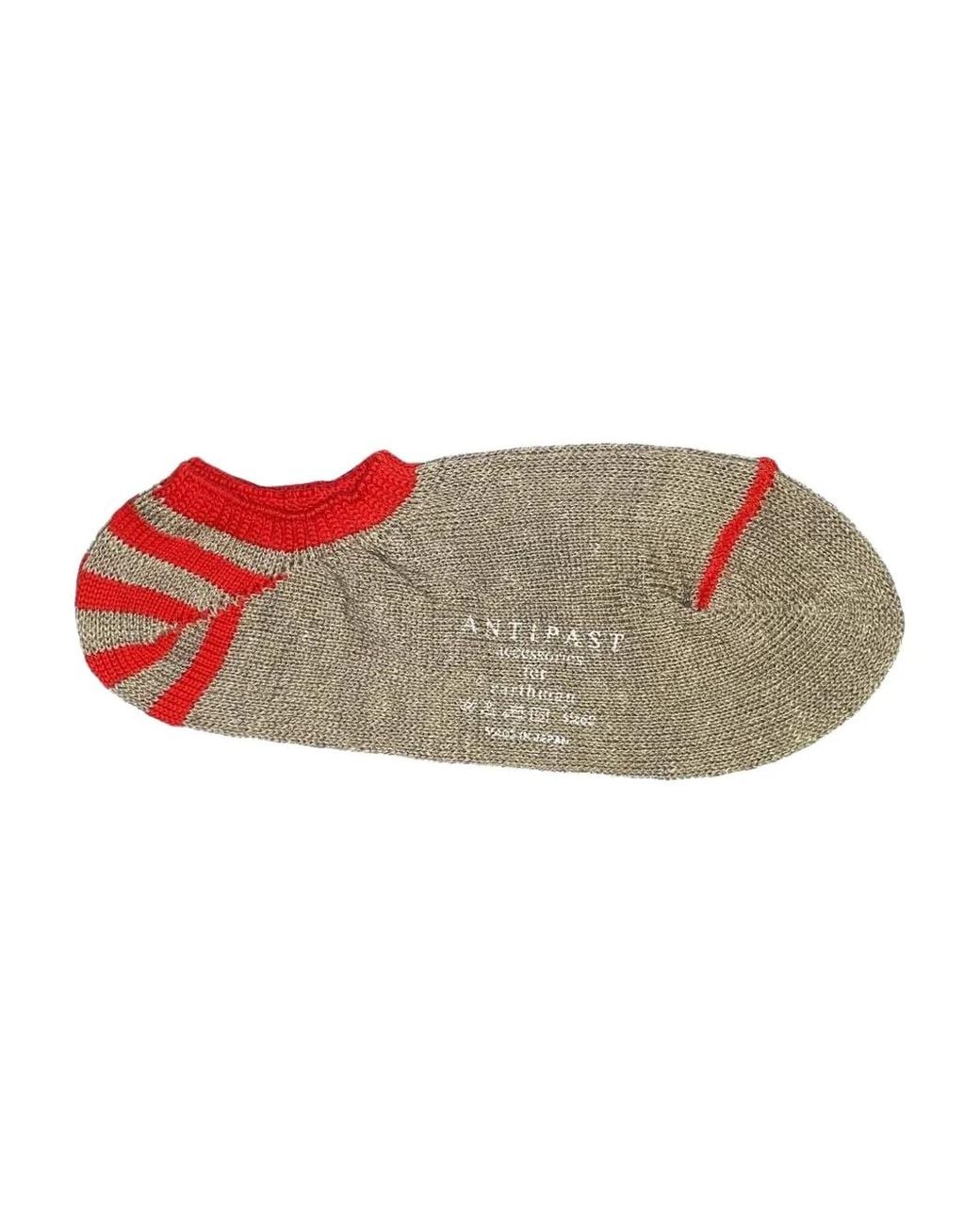 Antipast Multicolor Striped Socks