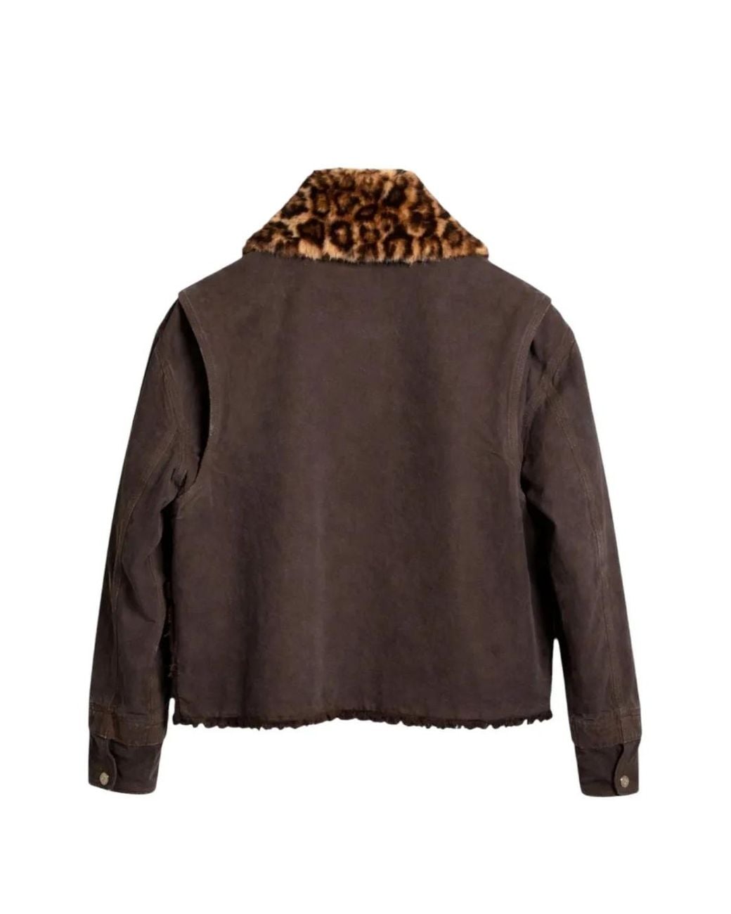 Bluemarble Brown Leopard-Print Faux-Fur Collar Jacket