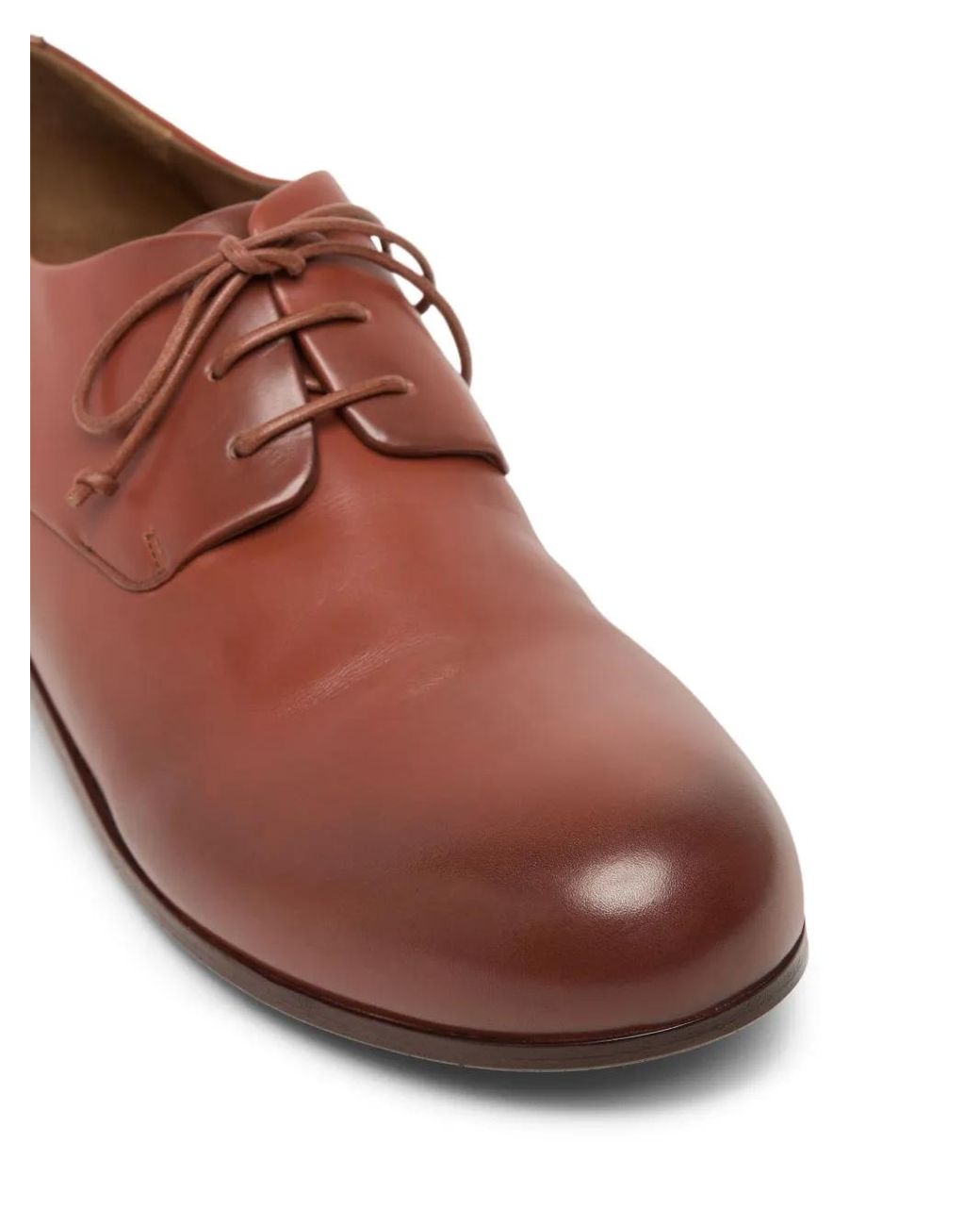 Marsèll Brown Capozucca Leather Derby Shoes for men