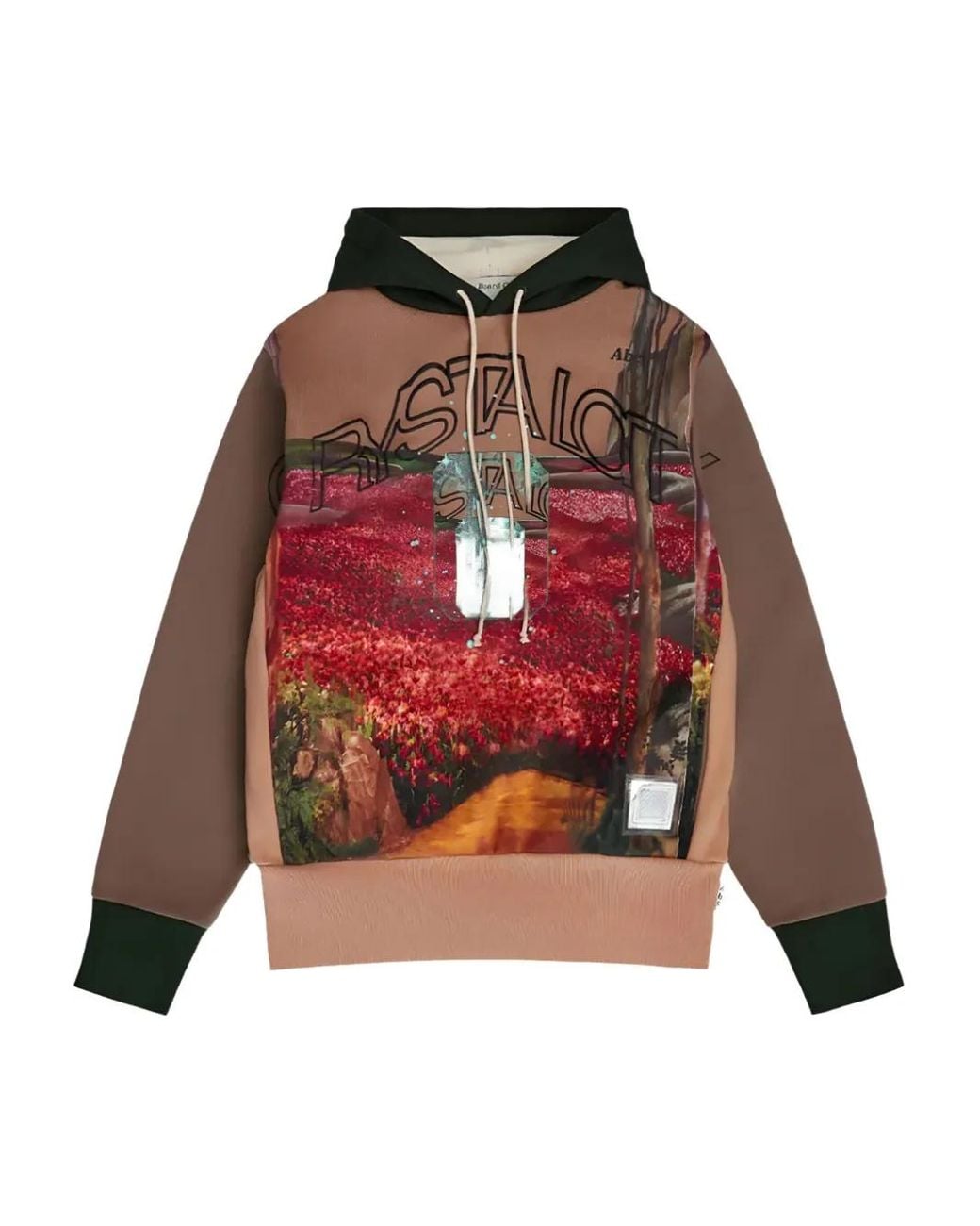 Advisory Board Crystals Red Graphic-Print Hoodie for men
