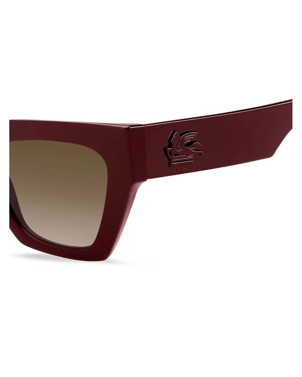 Occhiali Da Sole Screen, Donna di Etro in Brown