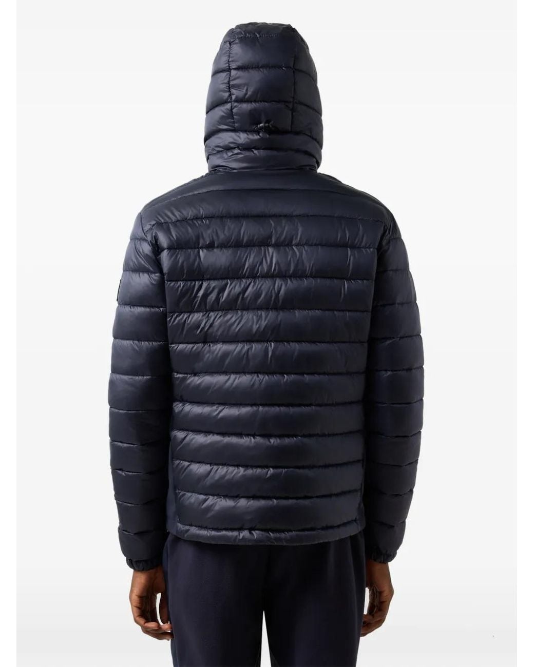 Bogner Fire + Ice Blue Elvis Quilted Jacket for men