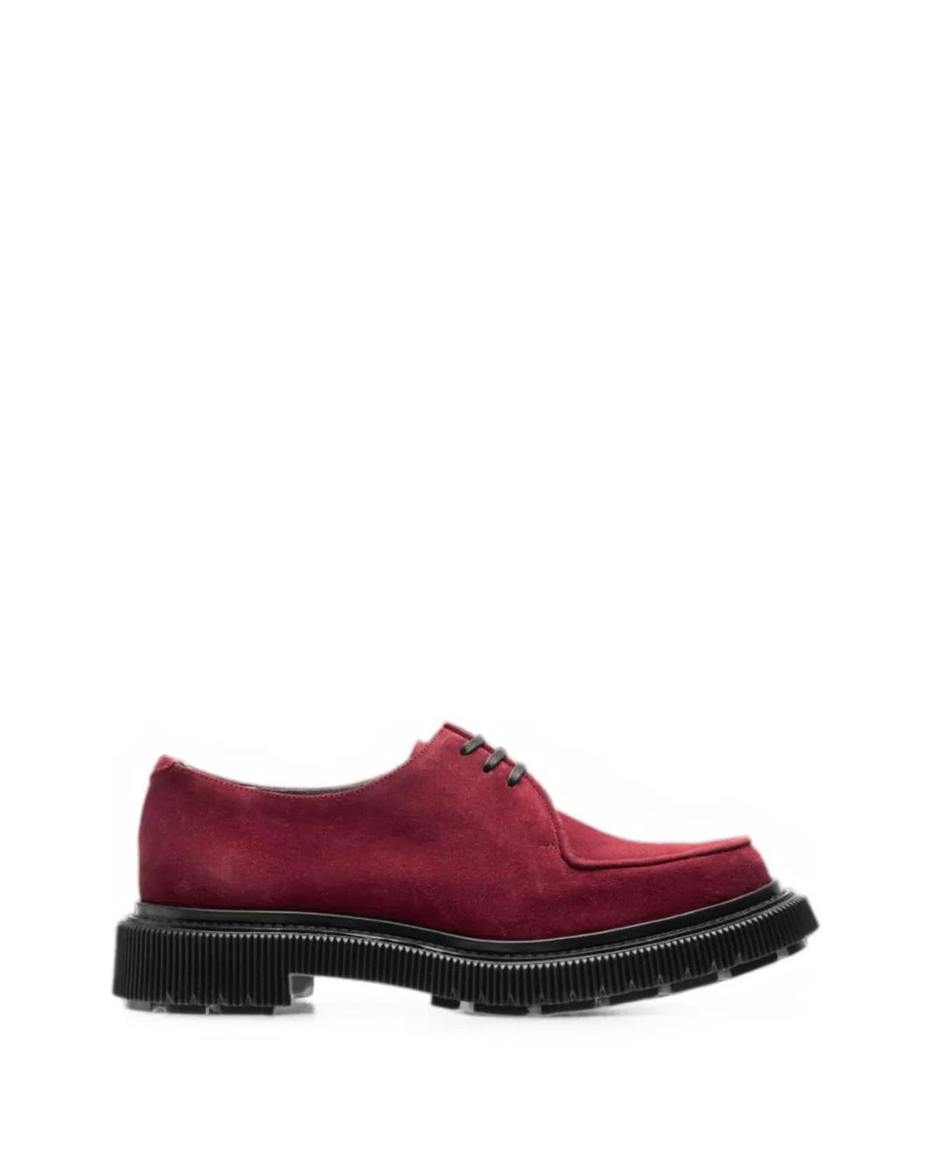 Adieu Purple Type 124 Lace-Up Suede Shoes for men