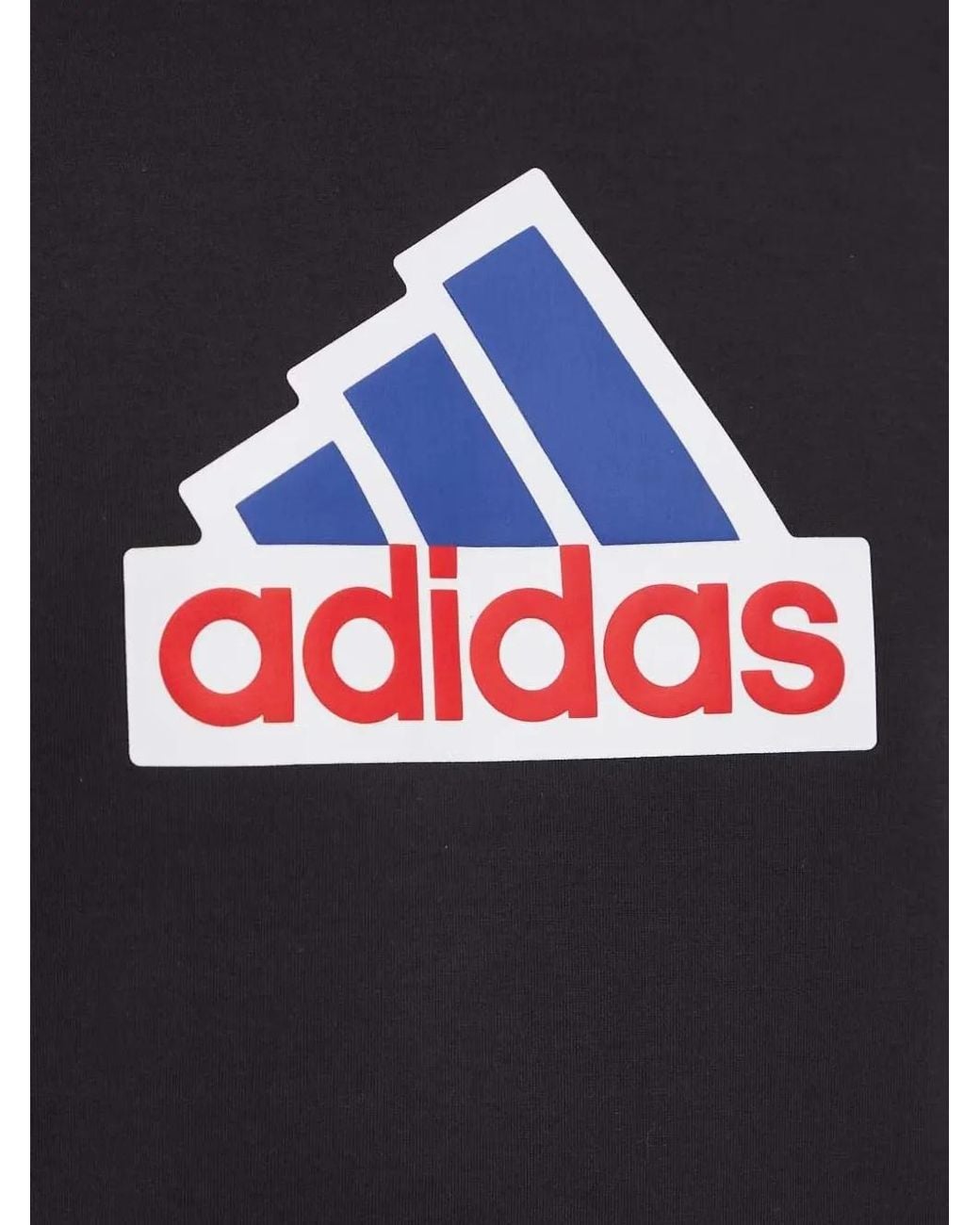 Adidas Blue Future Icons Badge Of Sport Hoodie for men
