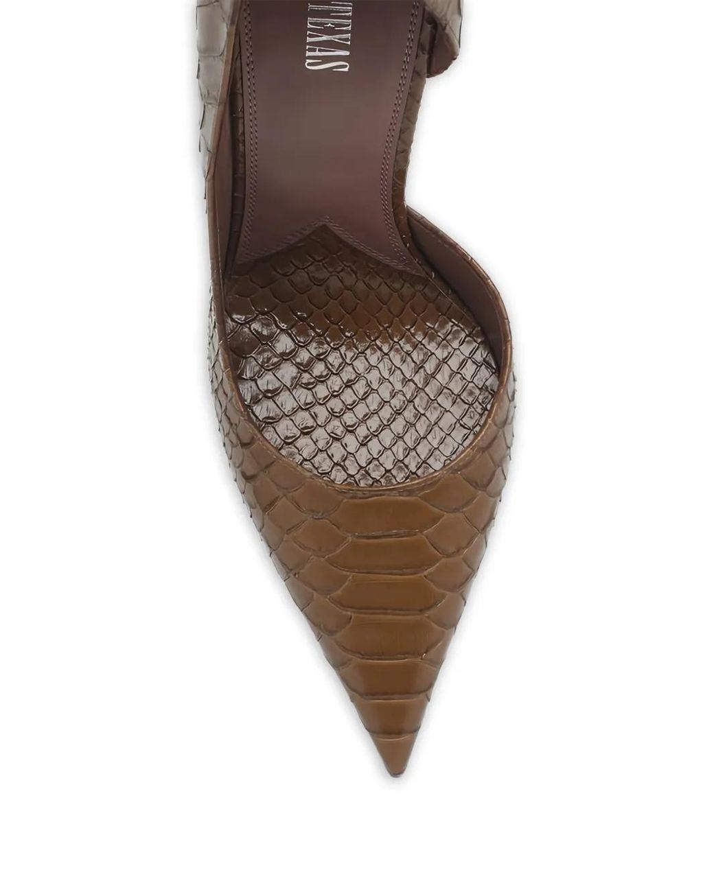 Paris Texas Brown Pointed Pumps