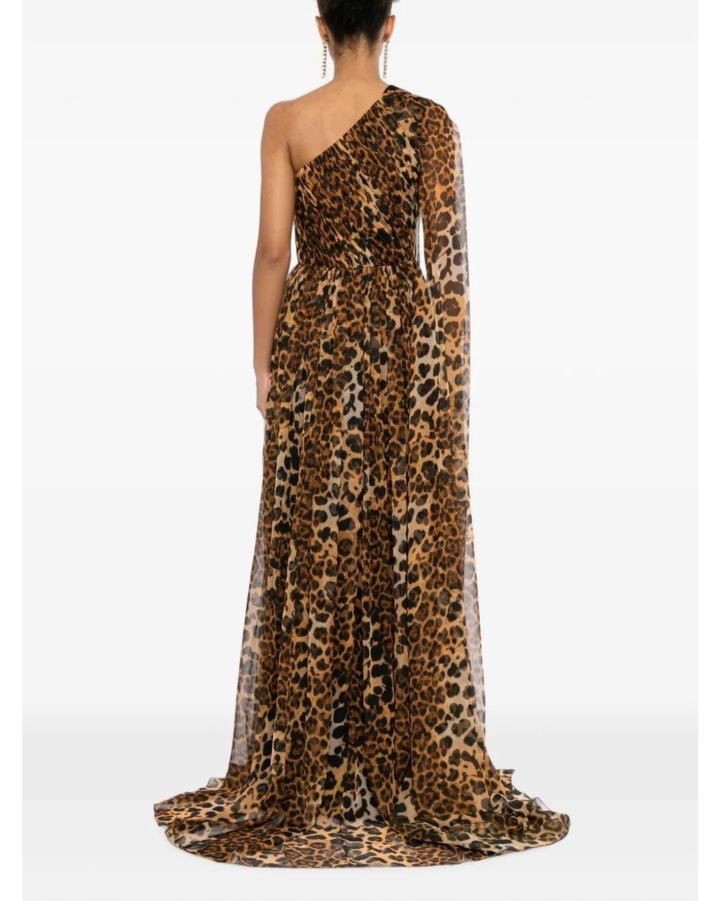 Pamella Roland Natural Robe Longue À Imprimé Léopard