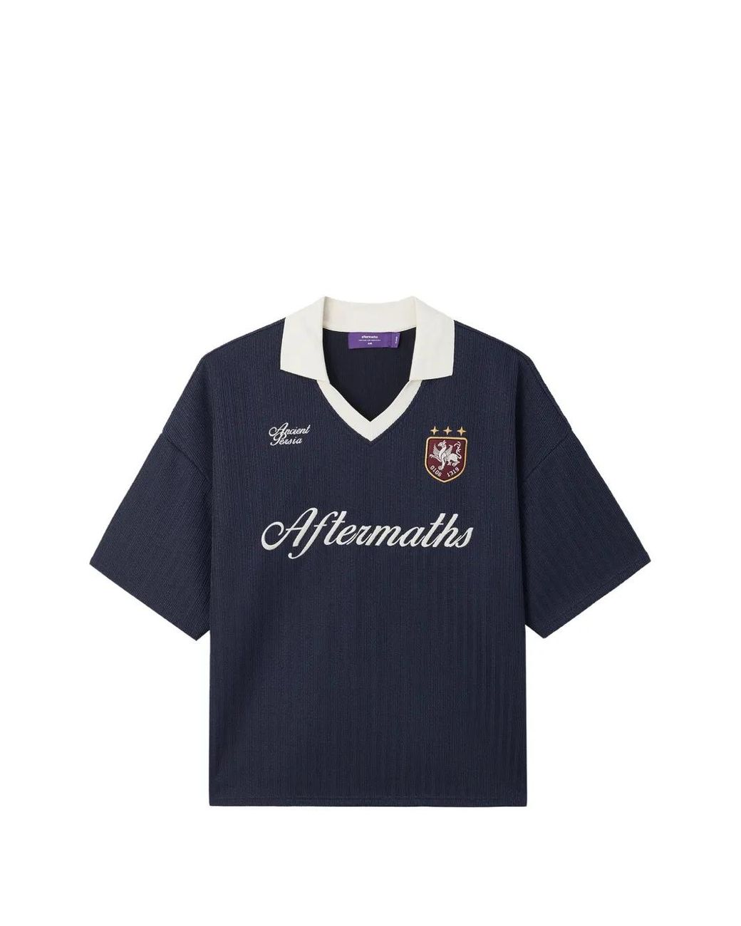 AFTERMATHS Blue Logo-Embroidered V-Neck Top for men