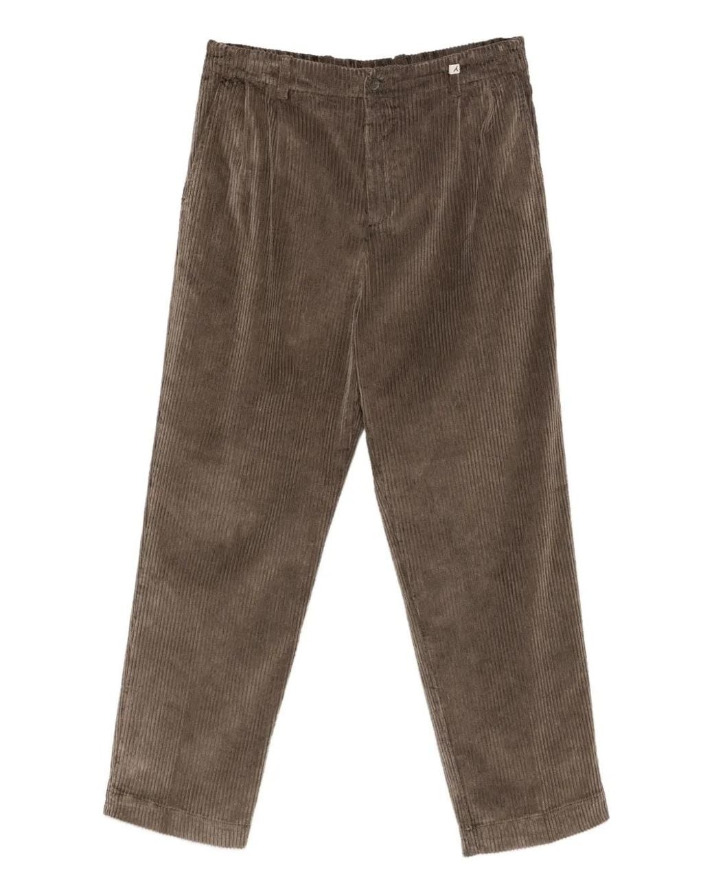 Myths Gray Poseidone Pleated Corduroy Trousers for men