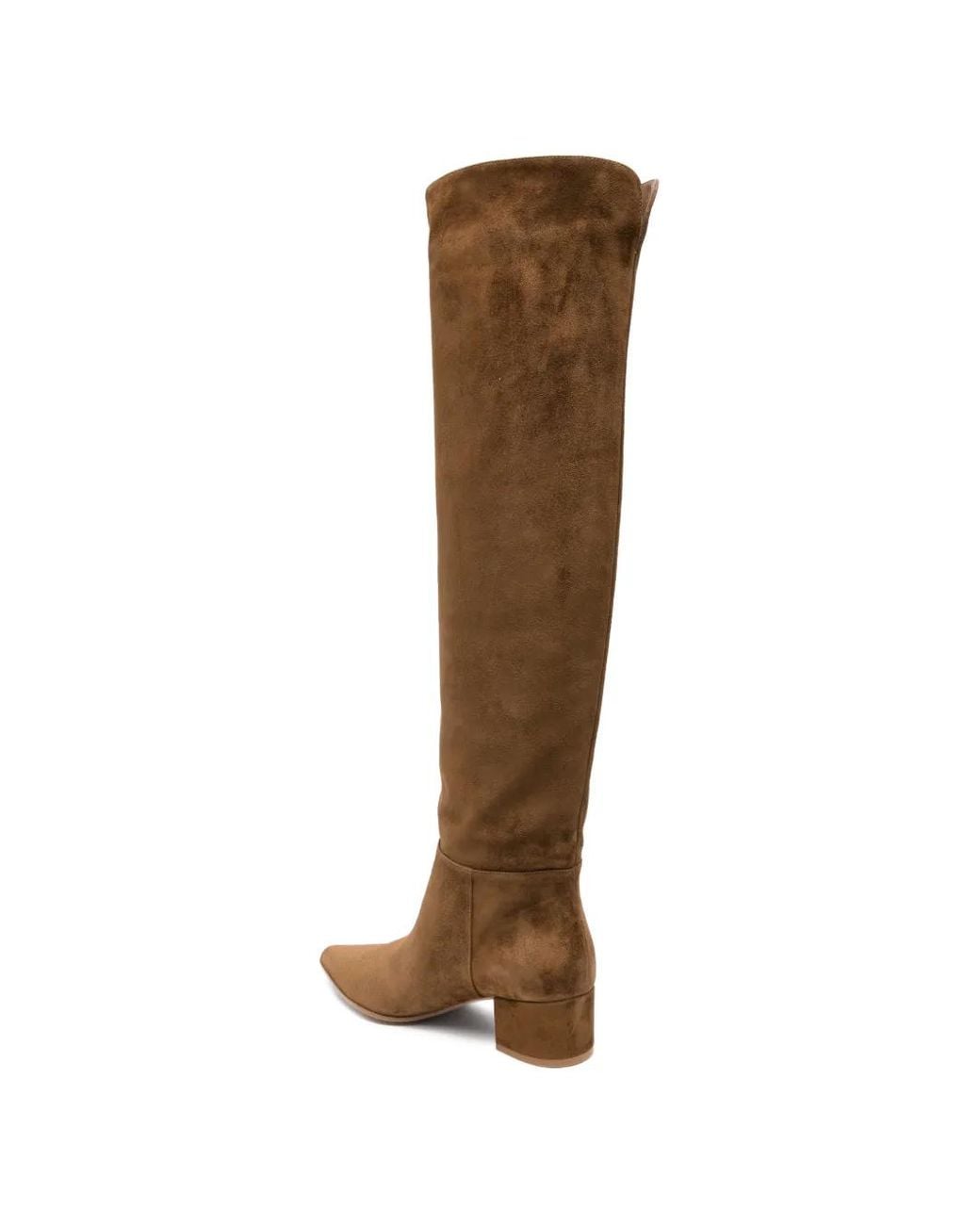 Gianvito Rossi Brown Pointed-Toe Boots