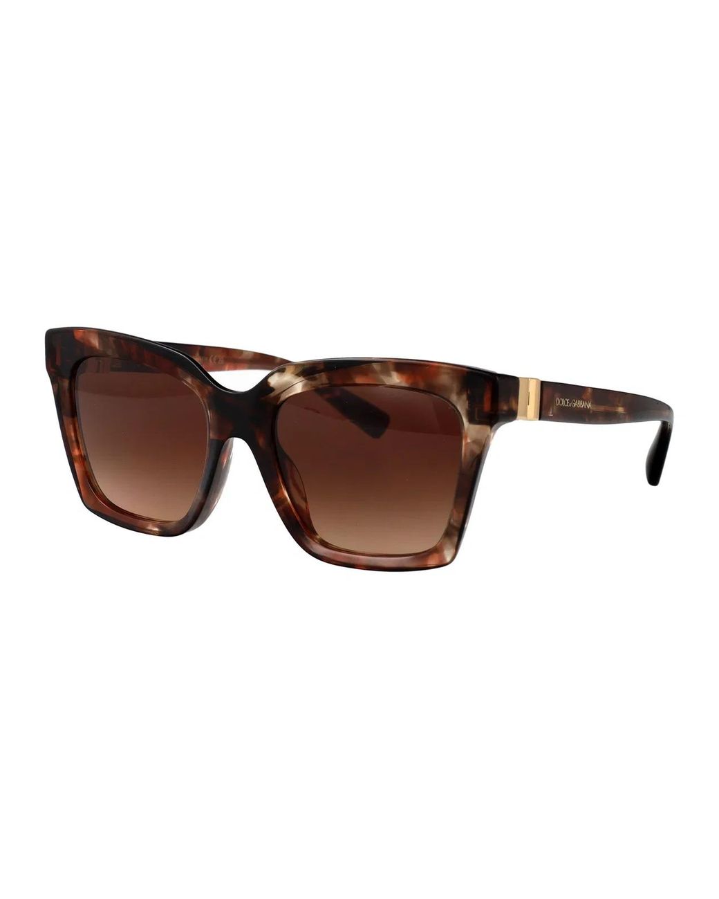 Dolce & Gabbana Brown Dolce & Gabbana Sunglasses