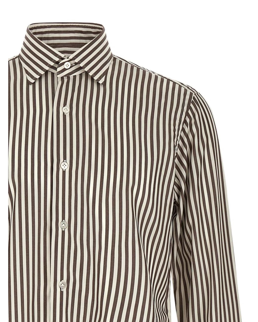 Borriello Brown Striped Shirt for men