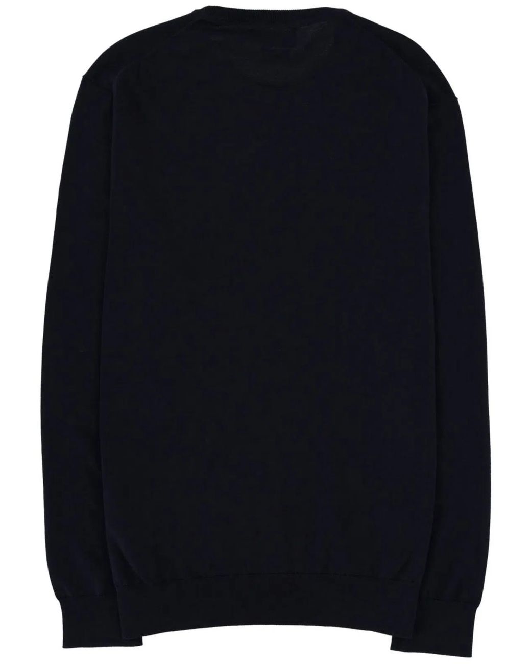 Polo Ralph Lauren Blue Sweatshirt With Logo for men