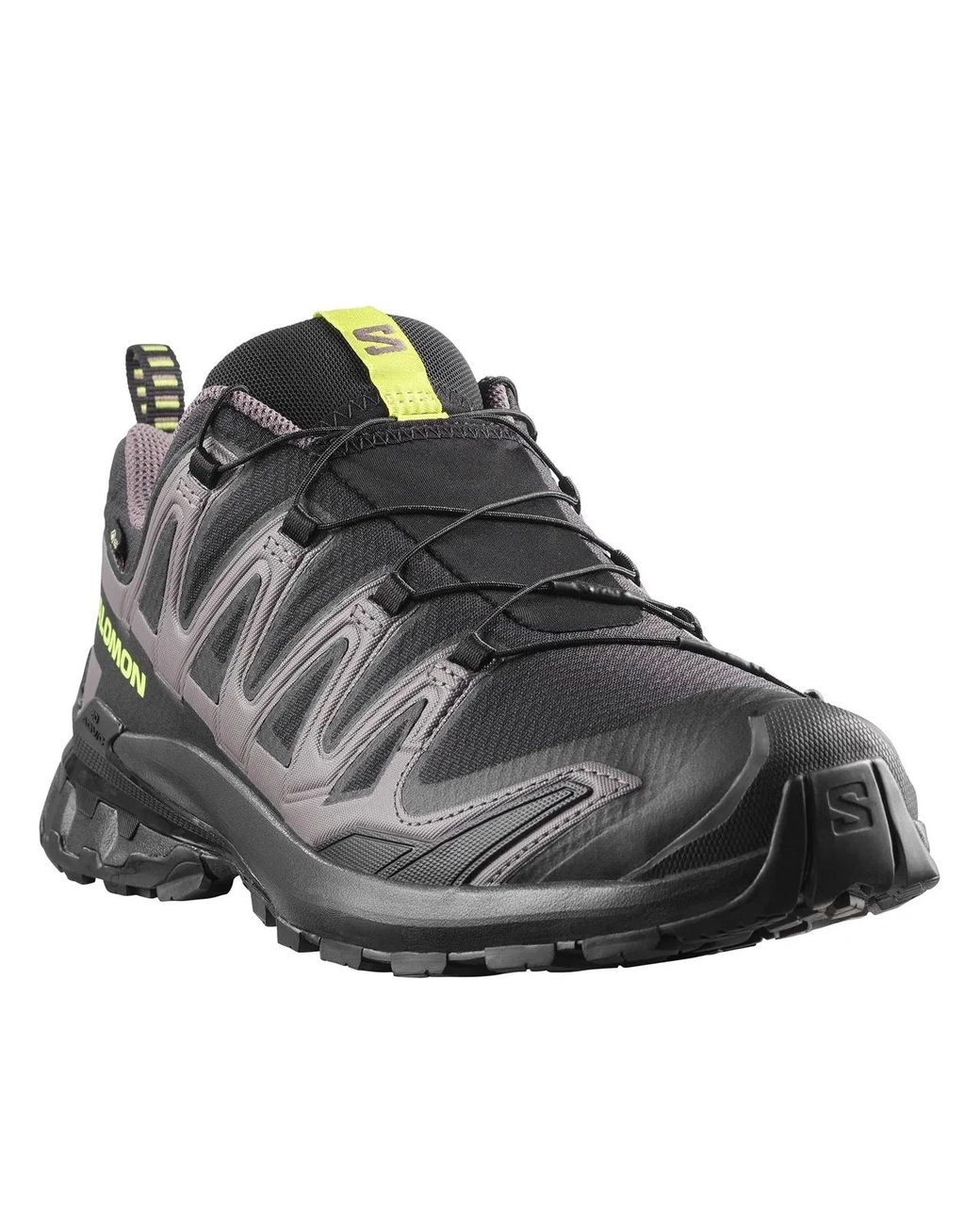 Salomon Brown Xa Pro 3D V9 Gtx for men