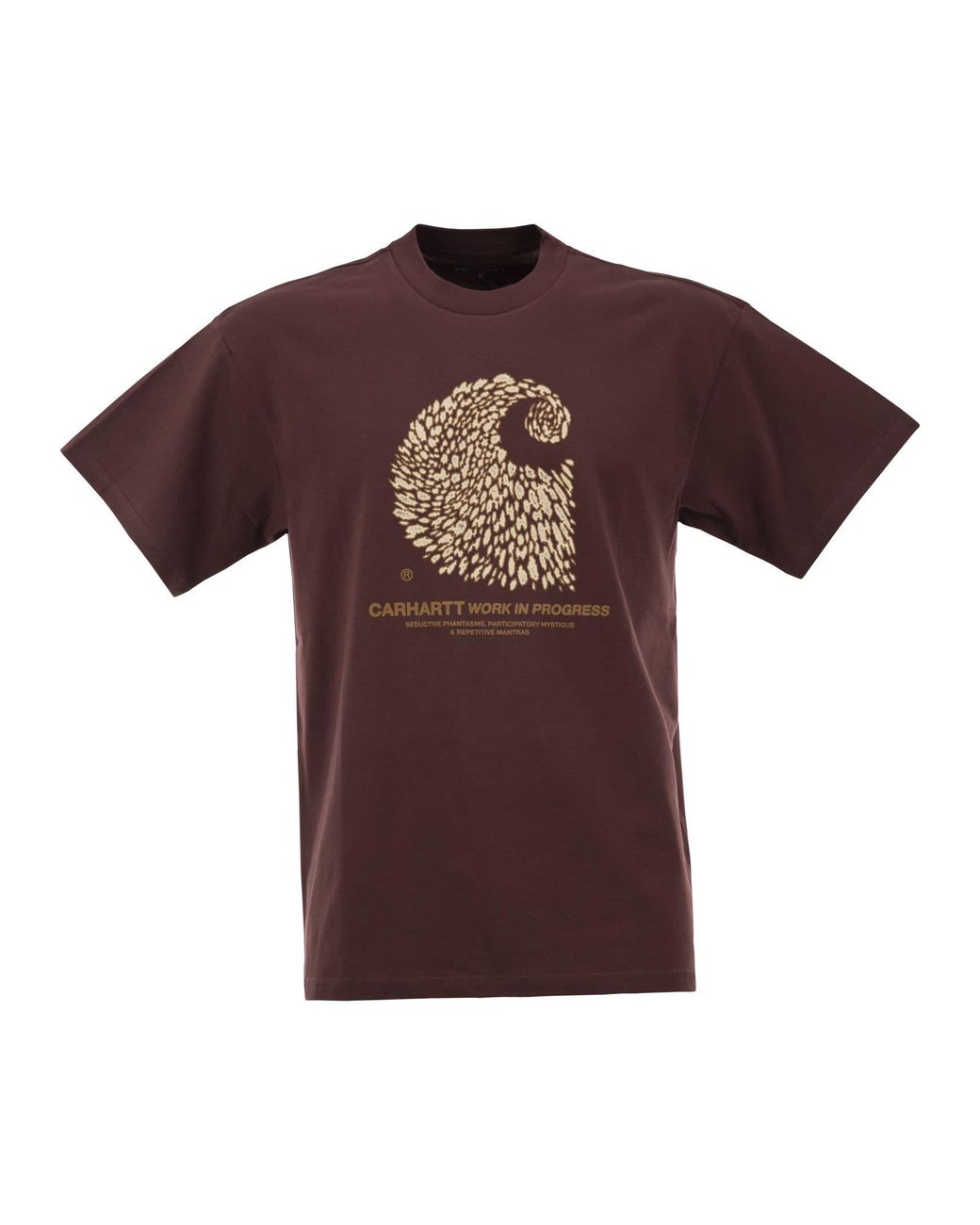 Carhartt Brown Organic Cotton T-Shirt With Graphic Print