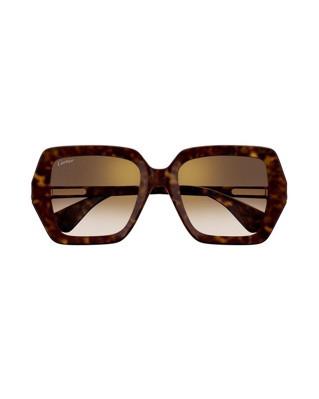 Cartier Brown Ct0507S 002
