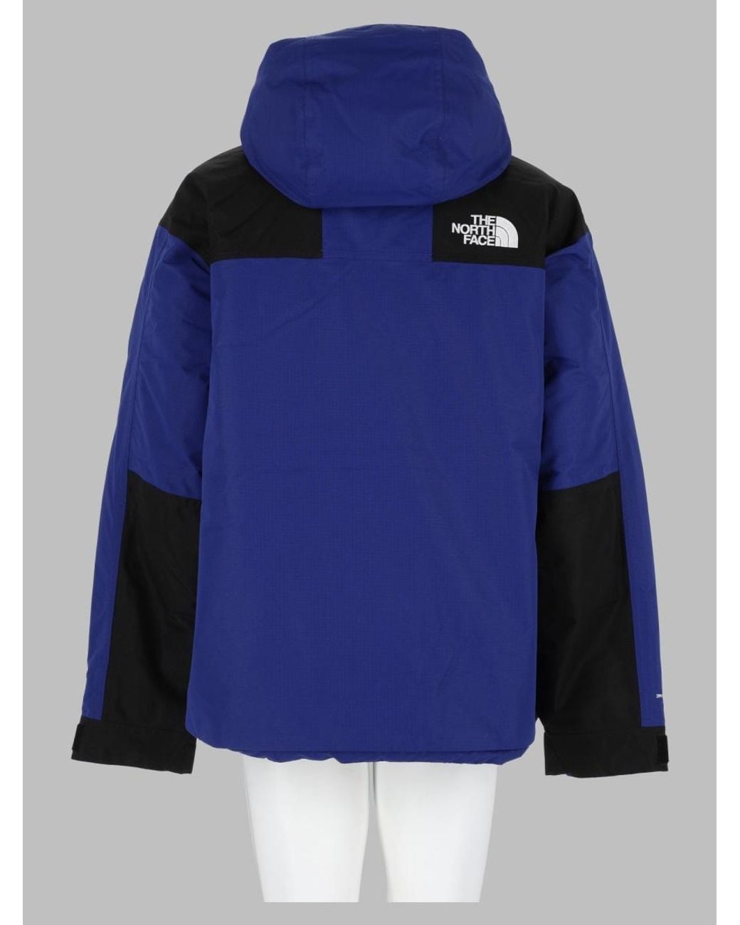 The North Face Blue The North Face for men