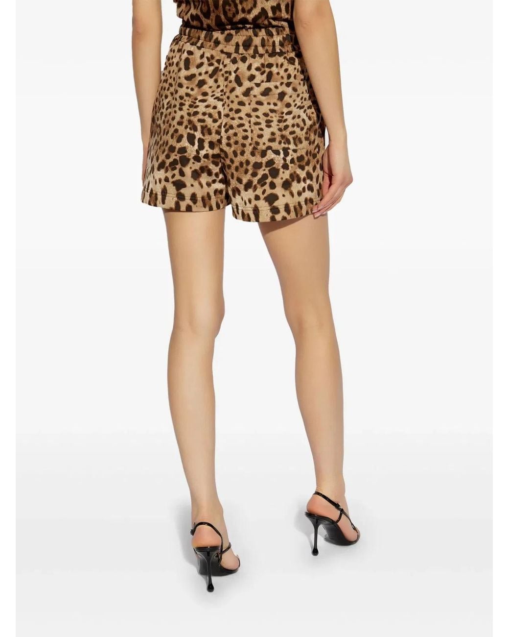 Dolce & Gabbana Brown Short Shorts
