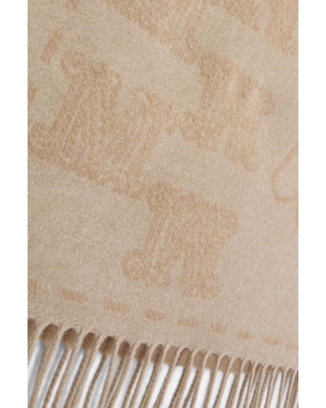 Max Mara Natural Scarf With Fringes