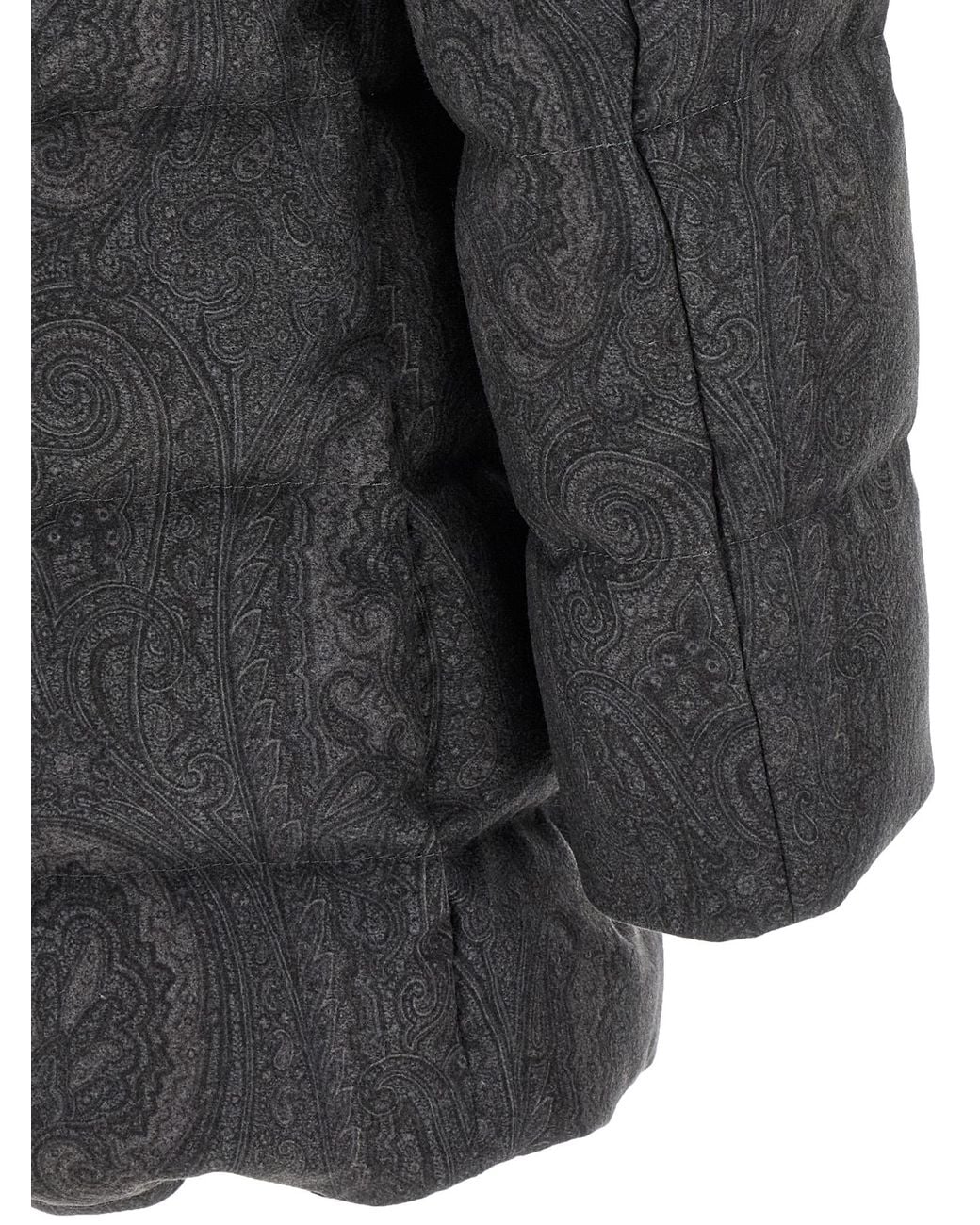 Etro Gray 'Arnica' Down Jacket for men