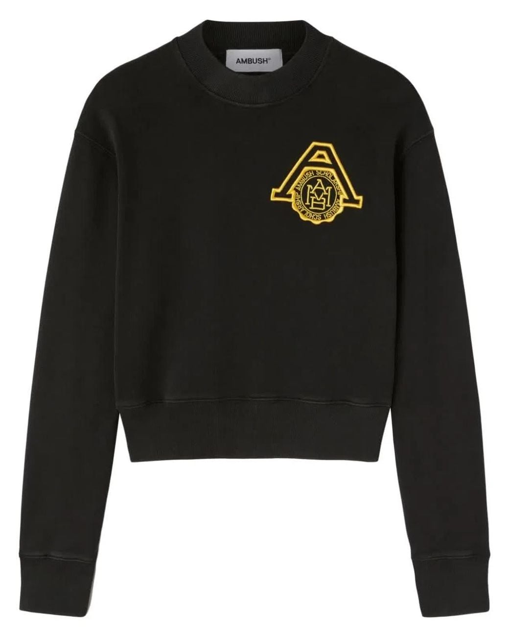 Ambush Black Scholarship Cropped Sweater
