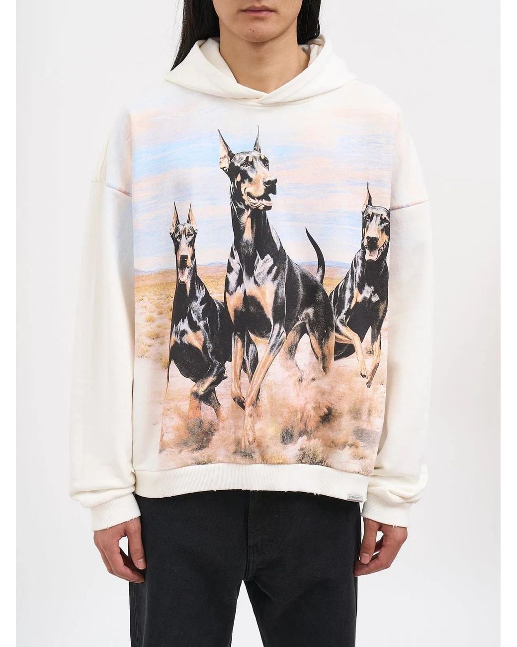 Represent Natural Western Dobermans Sweatshirt for men
