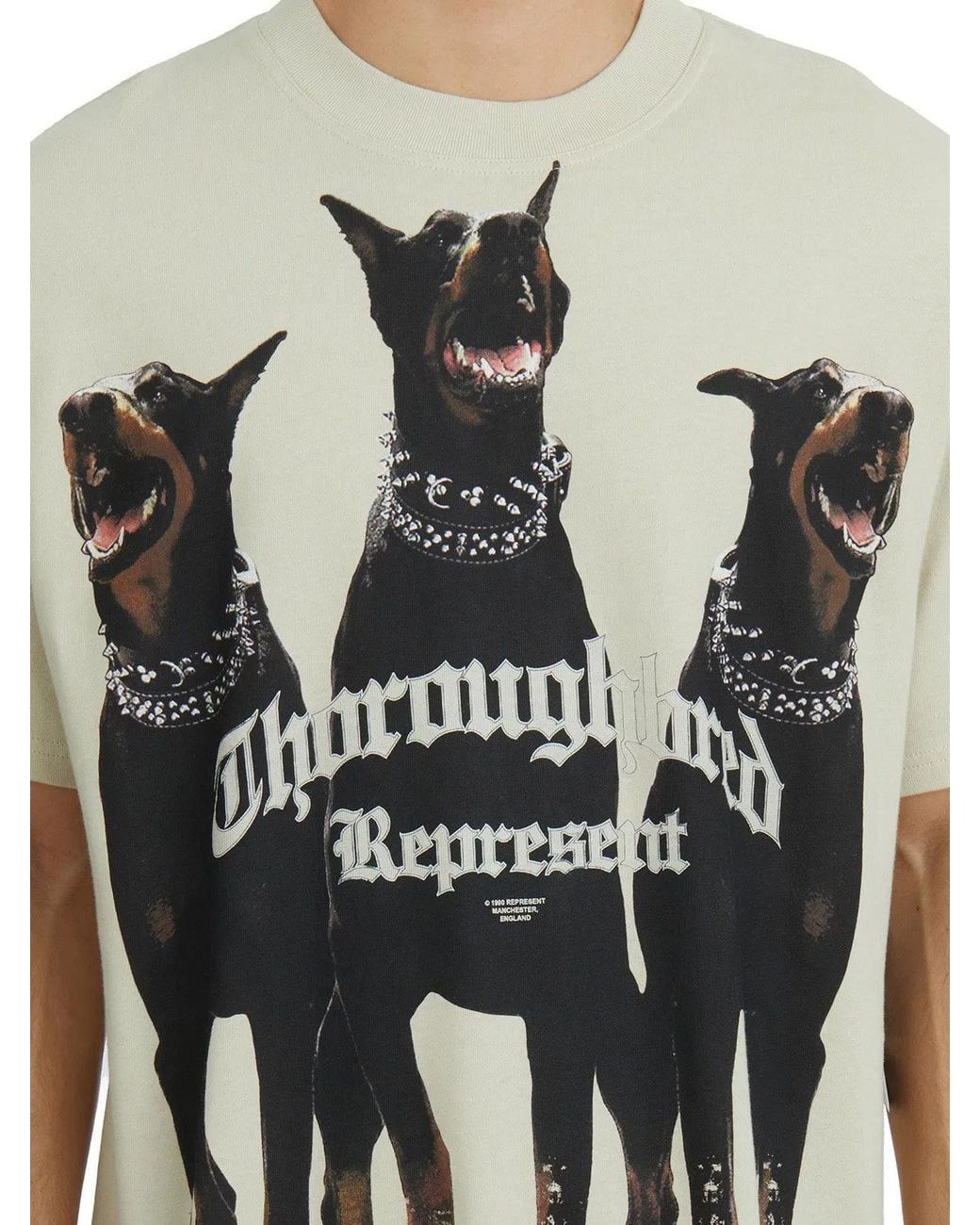 Represent Gray Thoroughbred T-Shirt for men
