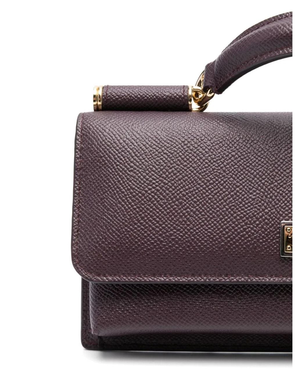 Dolce & Gabbana Purple Dolce & Gabbana Bag With Chain And Logo Plaque