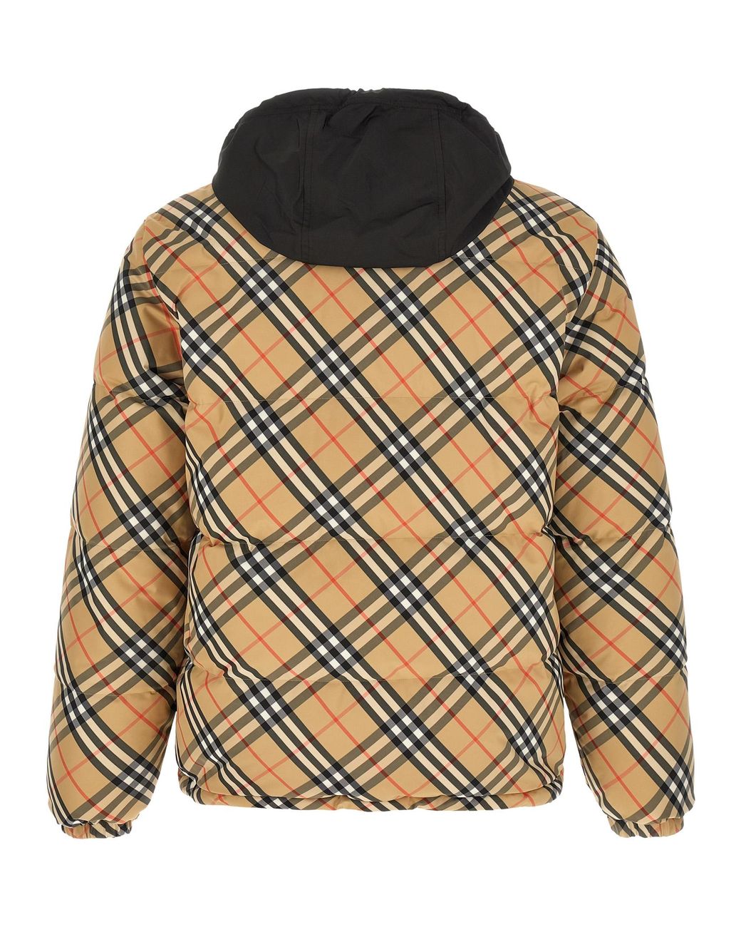 Burberry Brown 'Snowdon' Down Jacket for men