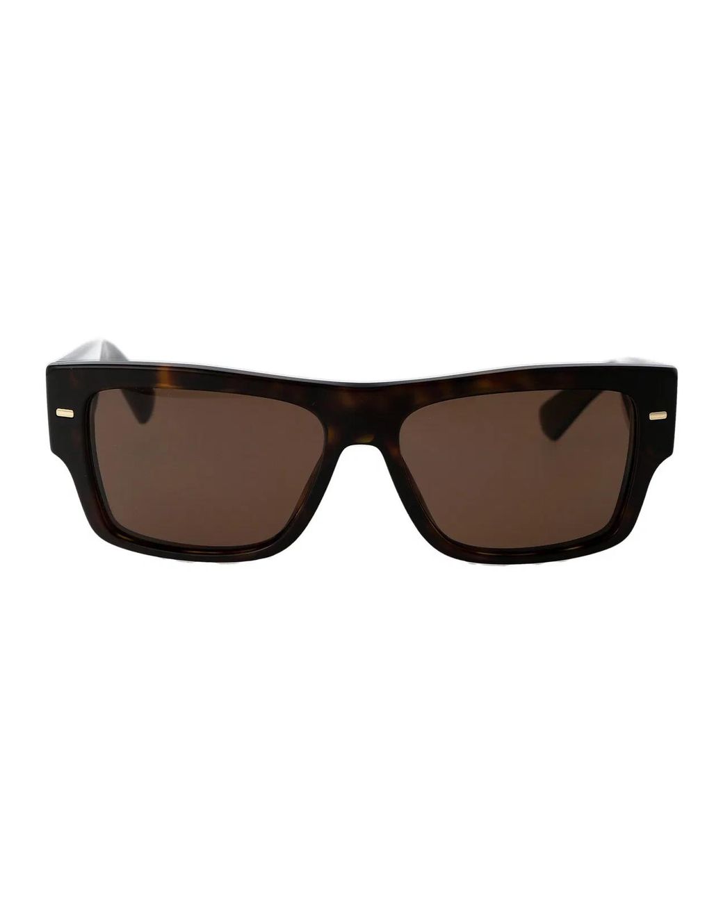 Dolce & Gabbana Brown Dolce & Gabbana Acetate Sunglasses