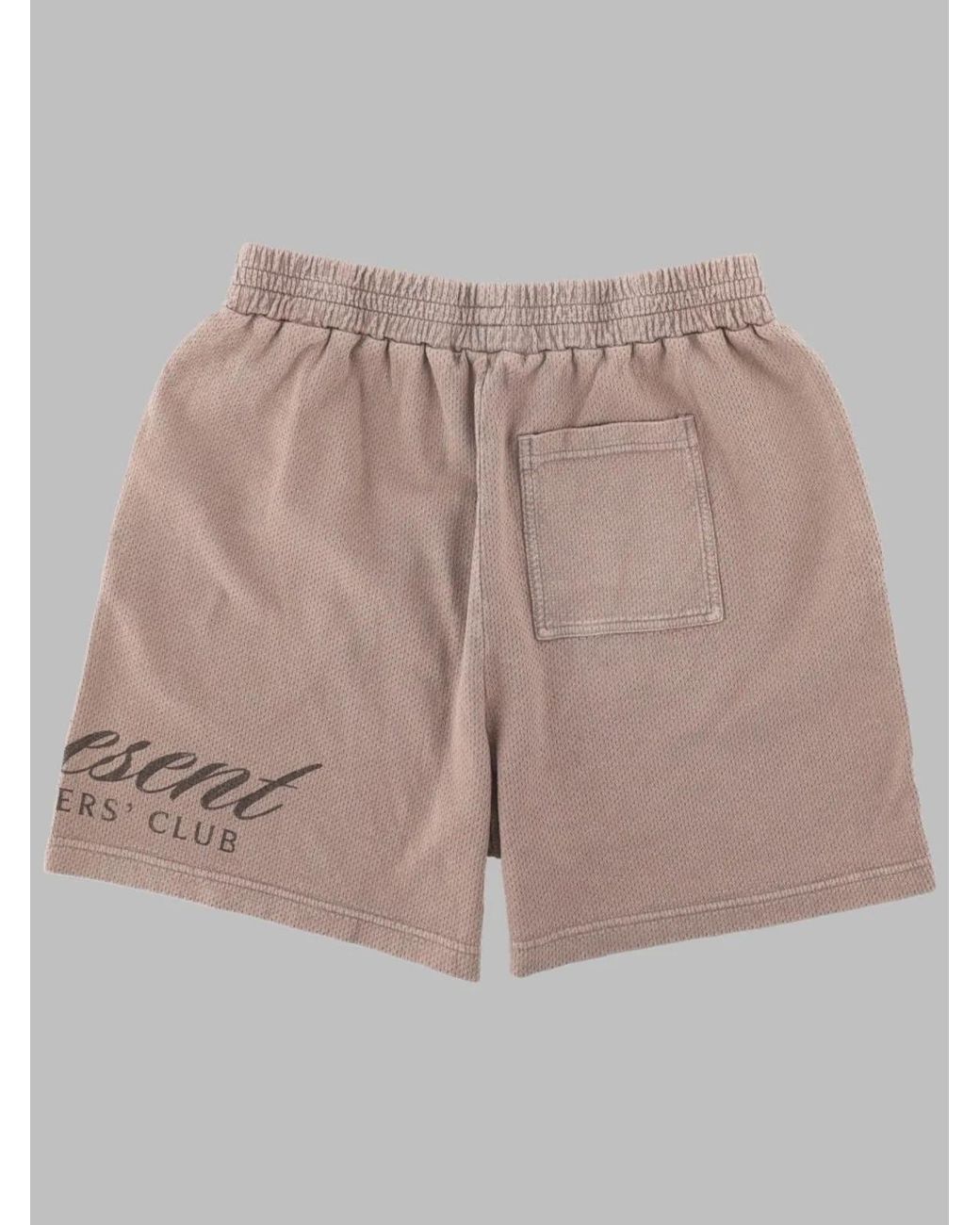 Represent Gray Logo Shorts for men