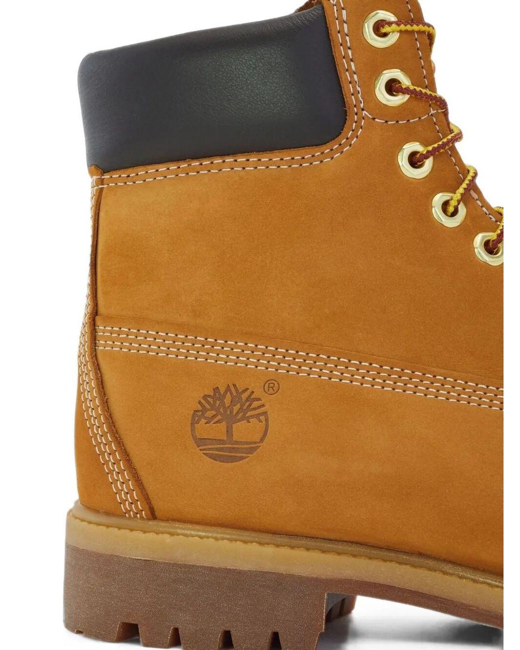 Timberland Brown Premium 6 Inch" Lace Up Waterproof Boot for men