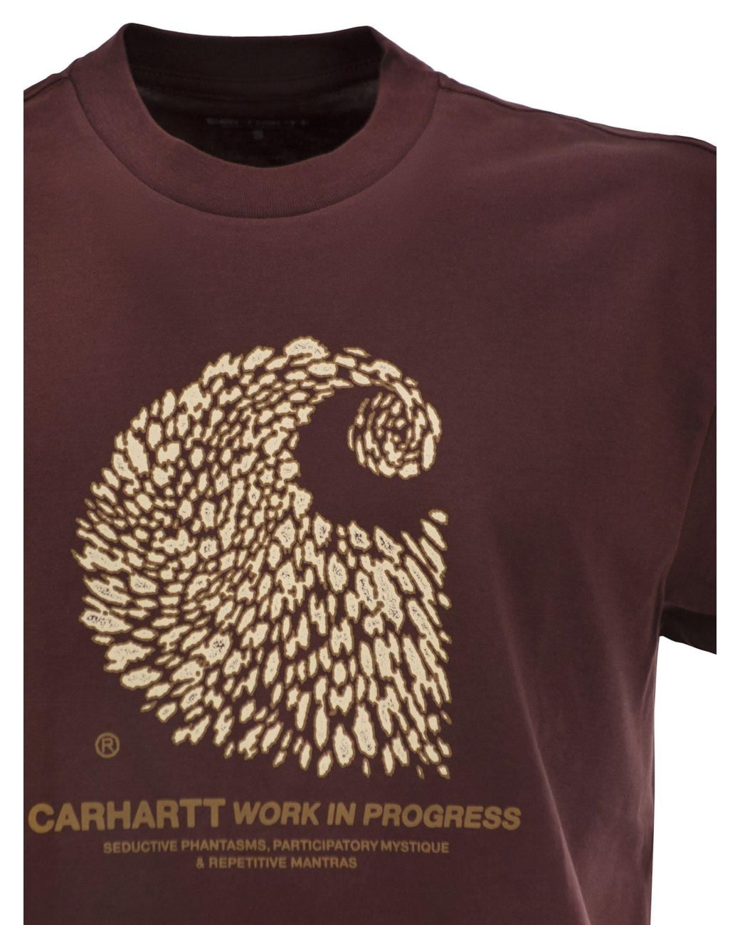 Carhartt Brown Organic Cotton T-Shirt With Graphic Print