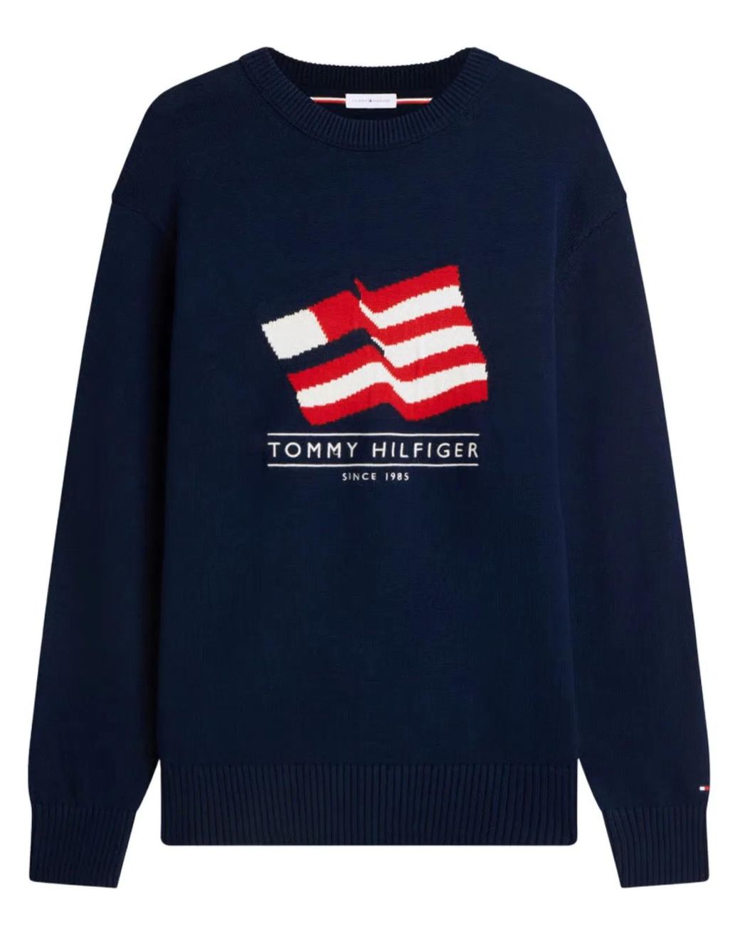 Tommy Hilfiger Blue Classic Fit Crew Neck Sweater With Bold Graphic Design for men