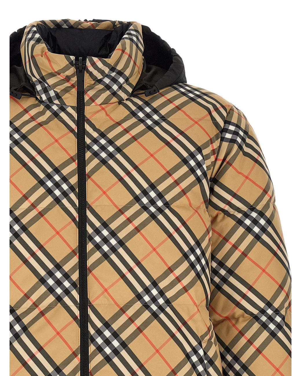Burberry Brown 'Snowdon' Down Jacket for men
