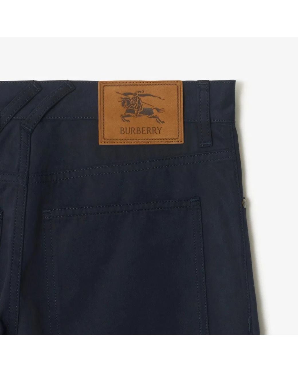 Burberry Blue Fred for men
