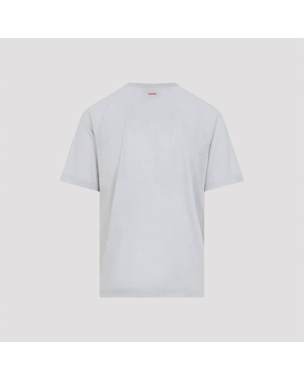 Sease Gray Tshirt for men