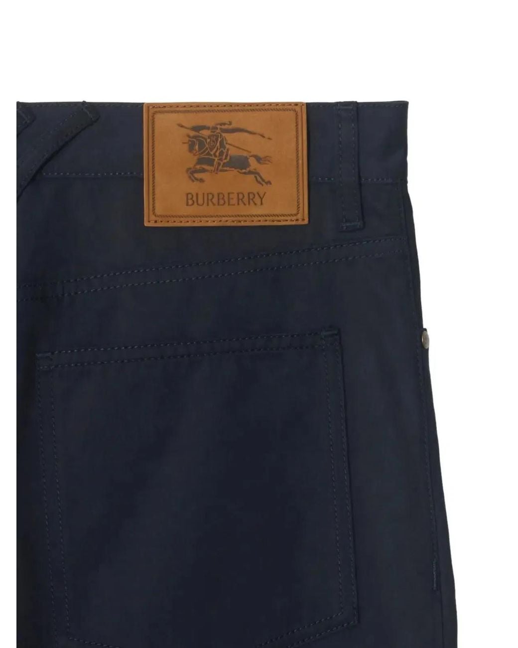 Burberry Blue Fred for men
