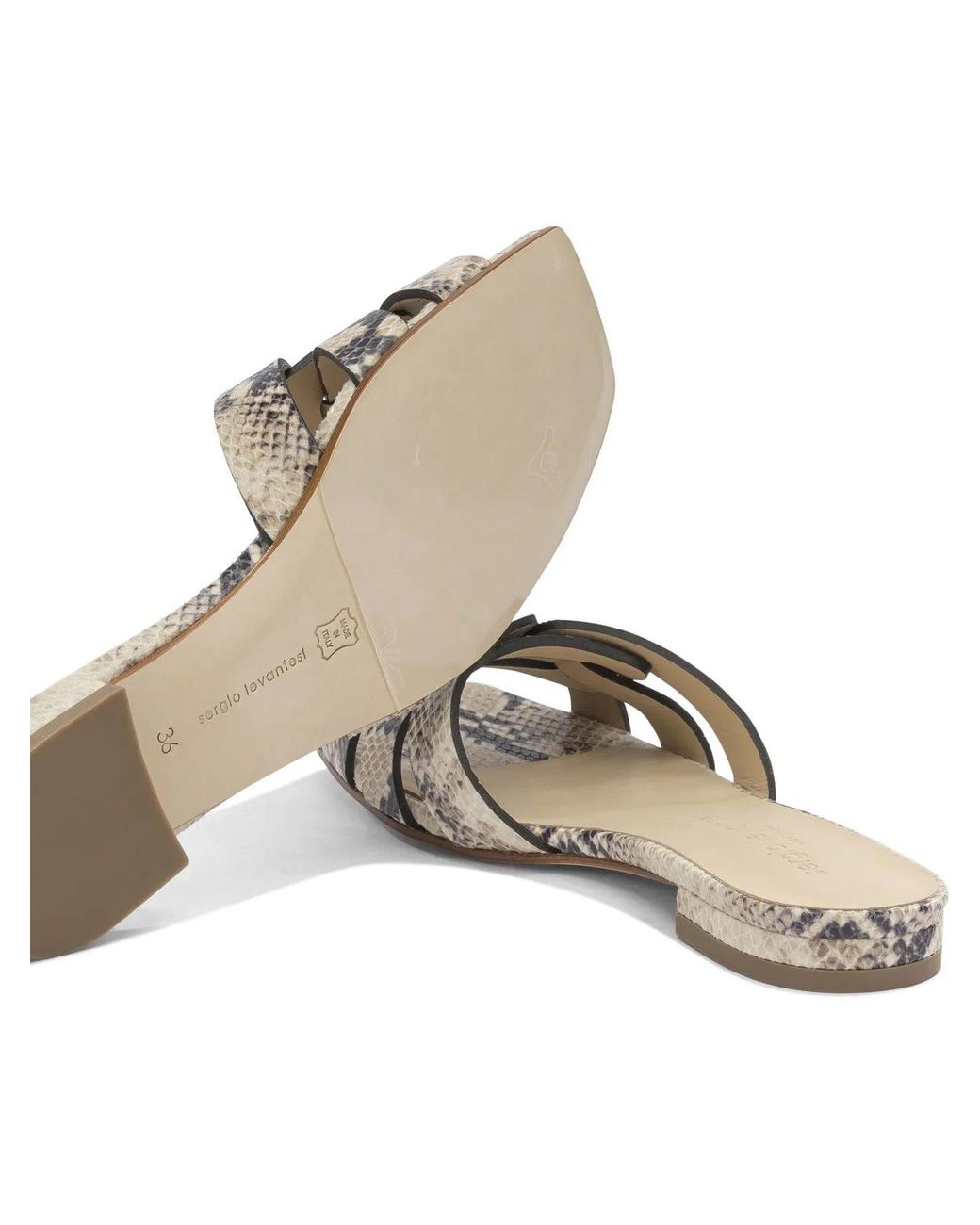 Sergio Levantesi Natural "Norma" Slides